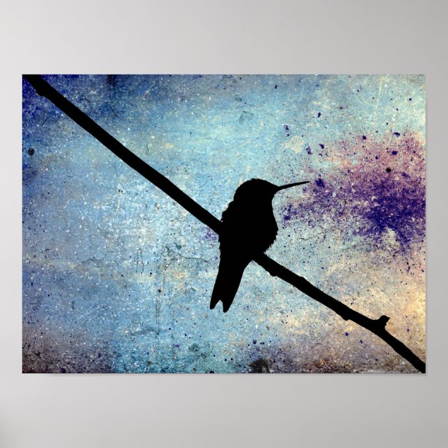 Grunge Hummingbird Poster (Framsidan)