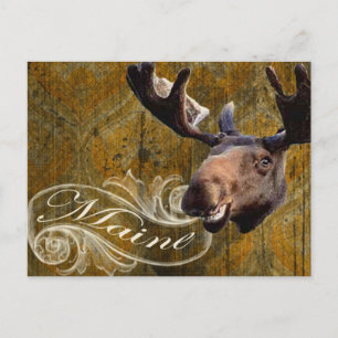 Grunge moose vykort