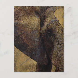 Grunge Parchment Majestic African Elephant Vykort
