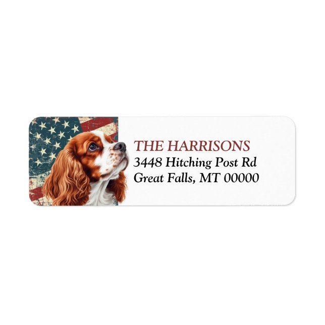 Grunge USA Flag Spaniel Returadress Etikett (Framsidan)