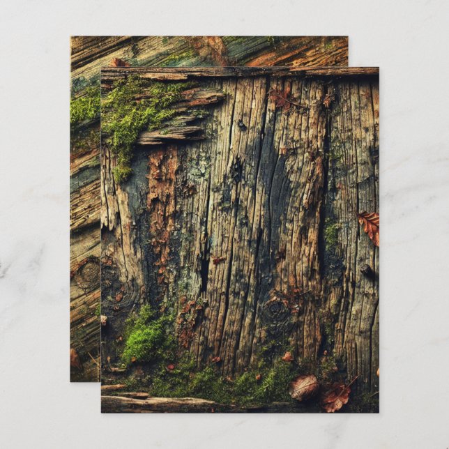 Grungy Autumnal Worn Wood and Moss Scrapbook Pappe (Fram/baksida)