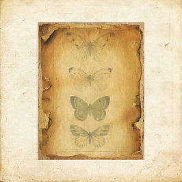Grungy Butterfly Scrapbook Papper