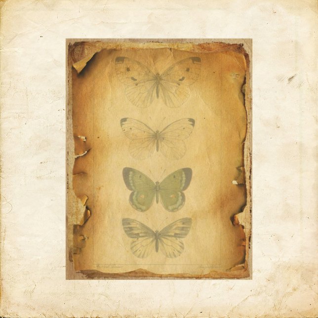 Grungy Butterfly Scrapbook Papper (Skapare uppladdad)