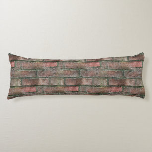 Grungy Dirty Moldy Brick Wall Kroppskudde