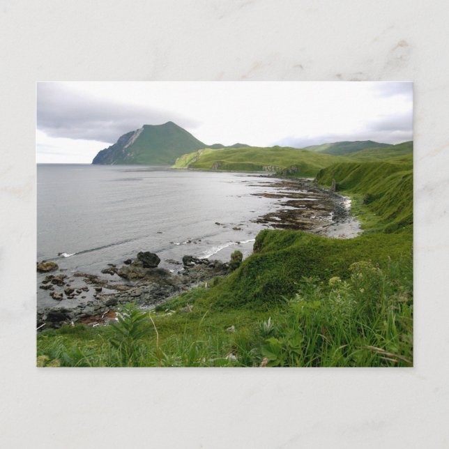 Gruntar norr om Summers Bay, Unalaska Island Vykort (Framsida)