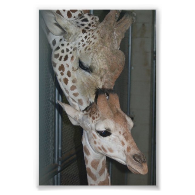 Grupp 4X6 Skriv ut nr 4 Fototryck (Framsidan)