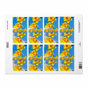 Grupp av blommor från Daffodils Guld Medal Fraktsedel