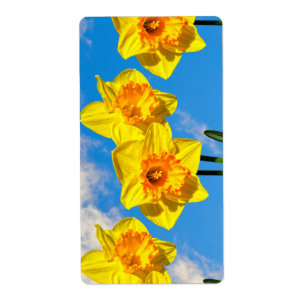 Grupp av blommor från Daffodils Guld Medal Fraktsedel