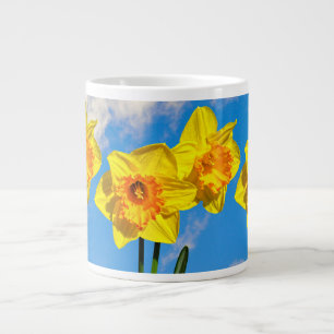 Grupp av Daffodils Guld Medalblommans specialitet  Jumbo Mugg