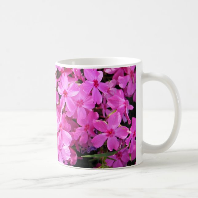 Grupp av den rosa phloxen kaffemugg (Höger)
