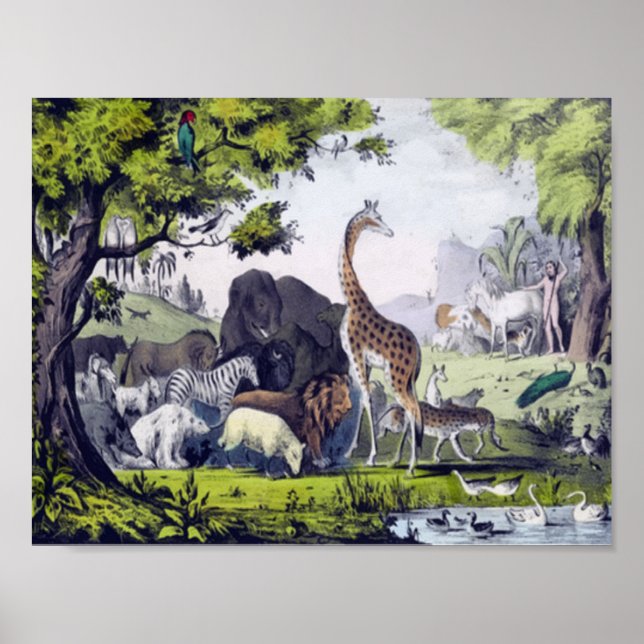 Grupp av djur poster (Framsidan)