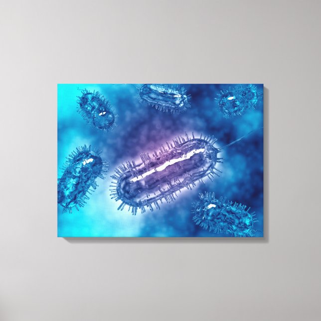 Grupp av Escherichia Coli Bacteria Cells 1 Canvastryck (Framsida)