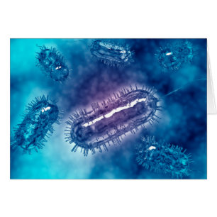 Grupp av Escherichia Coli Bacteria Cells 1 Hälsningskort