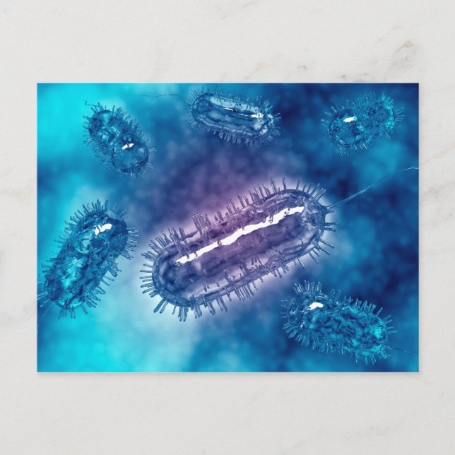 Grupp av Escherichia Coli Bacteria Cells 1 Vykort (Framsida)