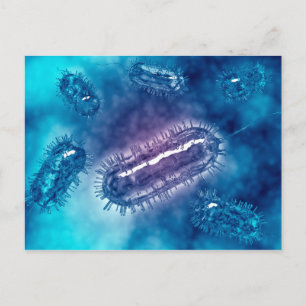 Grupp av Escherichia Coli Bacteria Cells 1 Vykort