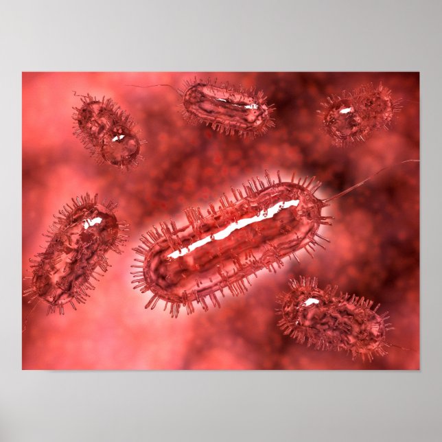 Grupp av Escherichia Coli Bacteria Cells 2 Poster (Framsidan)