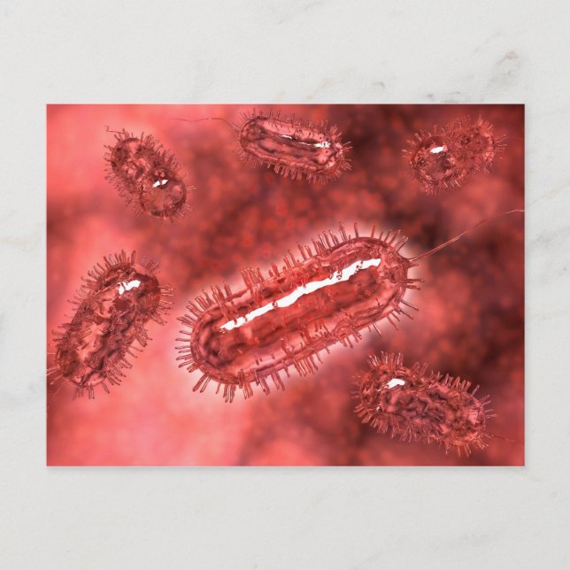 Grupp av Escherichia coli-bakterieceller 2 Vykort (Framsida)