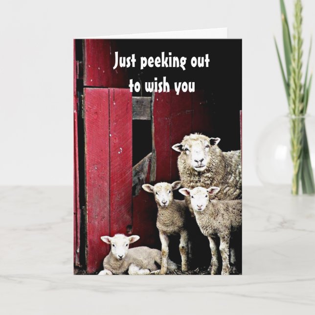 "GRUPP AV FÅR" ÖNSKAR DU *GOD JUL* KORT (Framsida)