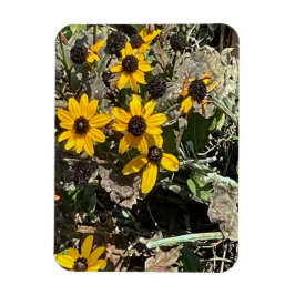 Grupp av gula blommor Flexibel fotomagnet Magnet