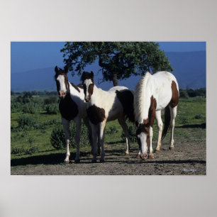 Grupp av målarter poster