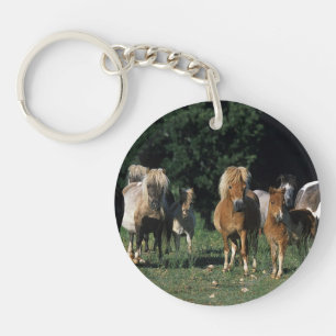 Grupp av miniatyrföl