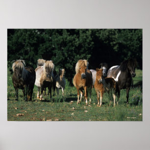 Grupp av miniatyrföl poster
