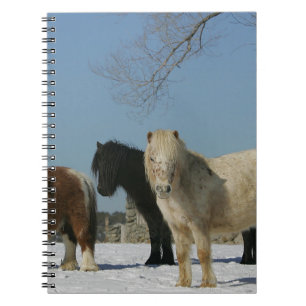 Grupp av miniatyrhästar i snön anteckningsbok