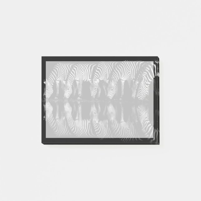 Grupp av stäppzebror dricker tillsammans på natten post-it block (Framsida)