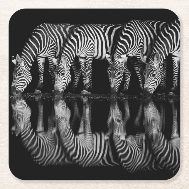 Grupp av stäppzebror dricker tillsammans på natten underlägg papper kvadrat (Framsidan)