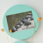 Grupp av Turtles Photo Funny Birthday Kort<br><div class="desc">Lustigt födelsedagskort för allt som innehåller en foto av sköldpaddor sol som badar på en sten i en damm. Välj från projektionsyta eller glansigt stil-kort.</div>
