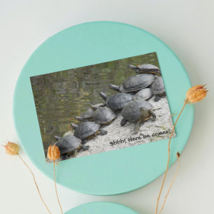 Grupp av Turtles Photo Funny Birthday Kort