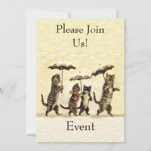 Grupp Brown white Party Cats Umbrellas Snö Inbjudningar