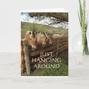 GRUPP COOLA HORSES SÄG "GRATTIS PÅ FÖDELSEDAGEN" KORT