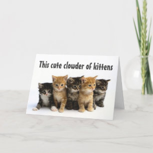 GRUPP "CUTE KITTENS SAY GRATTIS PÅ FÖDELSEDAGEN" KORT