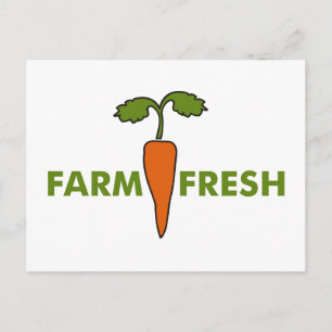 Grupp Fresh Vykort
