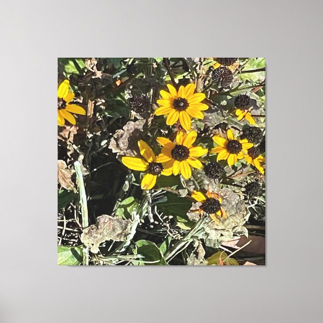 Grupp gula blommor sträckt canvastryck (Framsida)