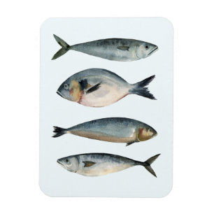 Grupp med fyra fiskar magnet