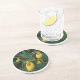 Grupp med Gult Dam Slipper Orchid Flowers Underlägg