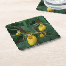 Grupp med Gult Dam Slipper Orchid Flowers