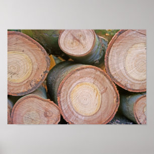 Grupp med stockar poster