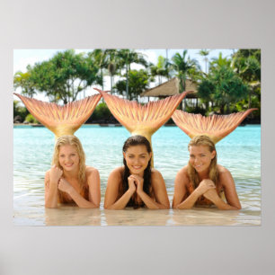 Grupp på bålen poster