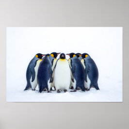 Grupp Pingviner Poster