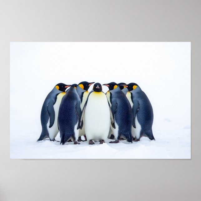 Grupp Pingviner Poster (Framsidan)