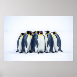 Grupp Pingviner Poster