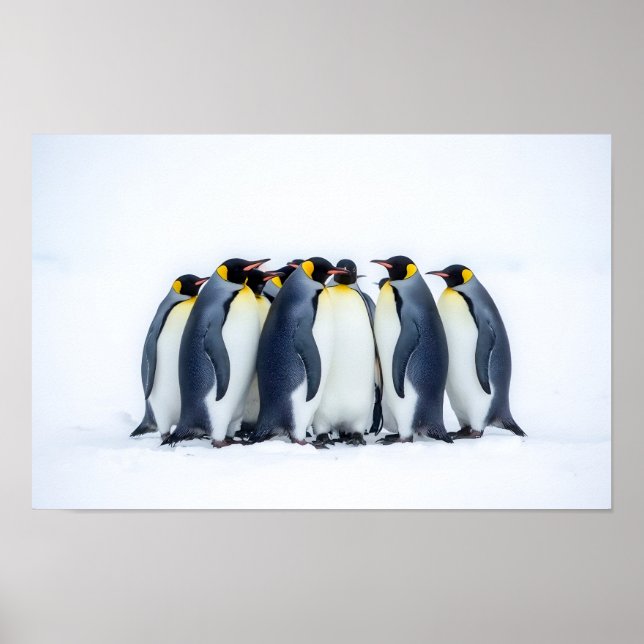 Grupp Pingviner Poster (Framsidan)