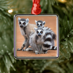 Grupp Ring-Tails Lemurs Julgransprydnad Metall