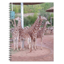 Gruppanteckningsbok nr 2