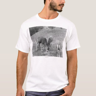 Gruppen av hjort på Hot Springs fotograferar T Shirt