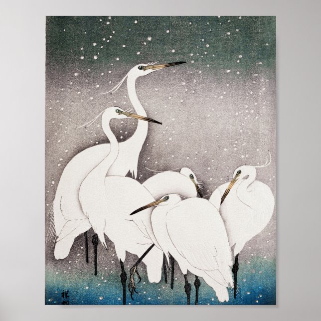 Gruppen Egrets Poster (Framsidan)