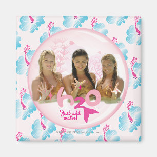 Gruppen i rosor bubblar magnet